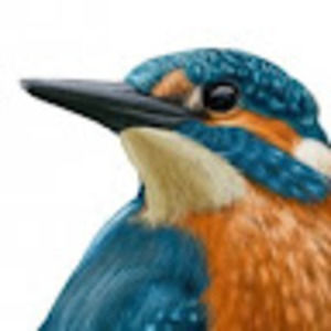 Meet your Posher, Doug